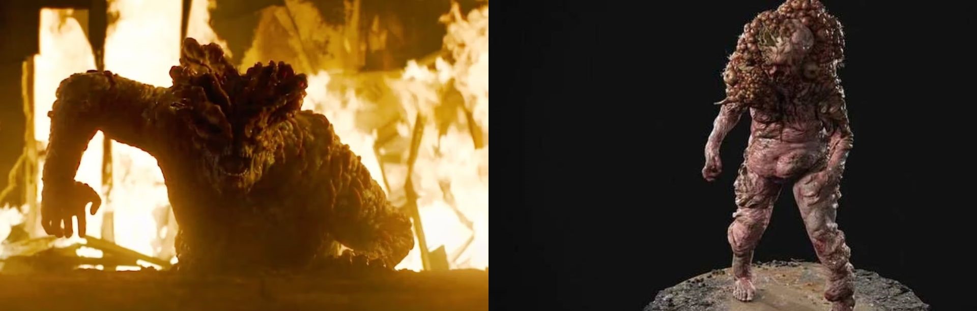 Baiacus e trôpegos - TLOU