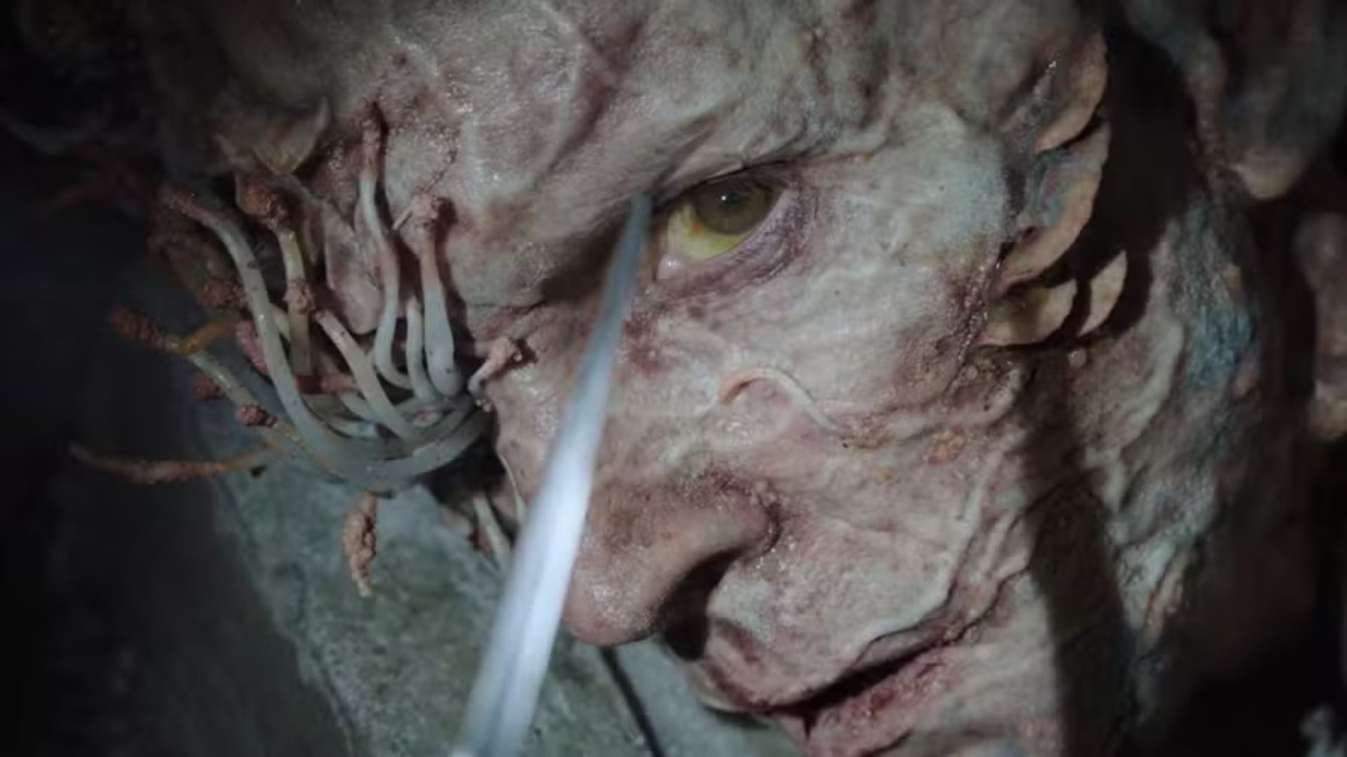 Perseguidores - TLOU