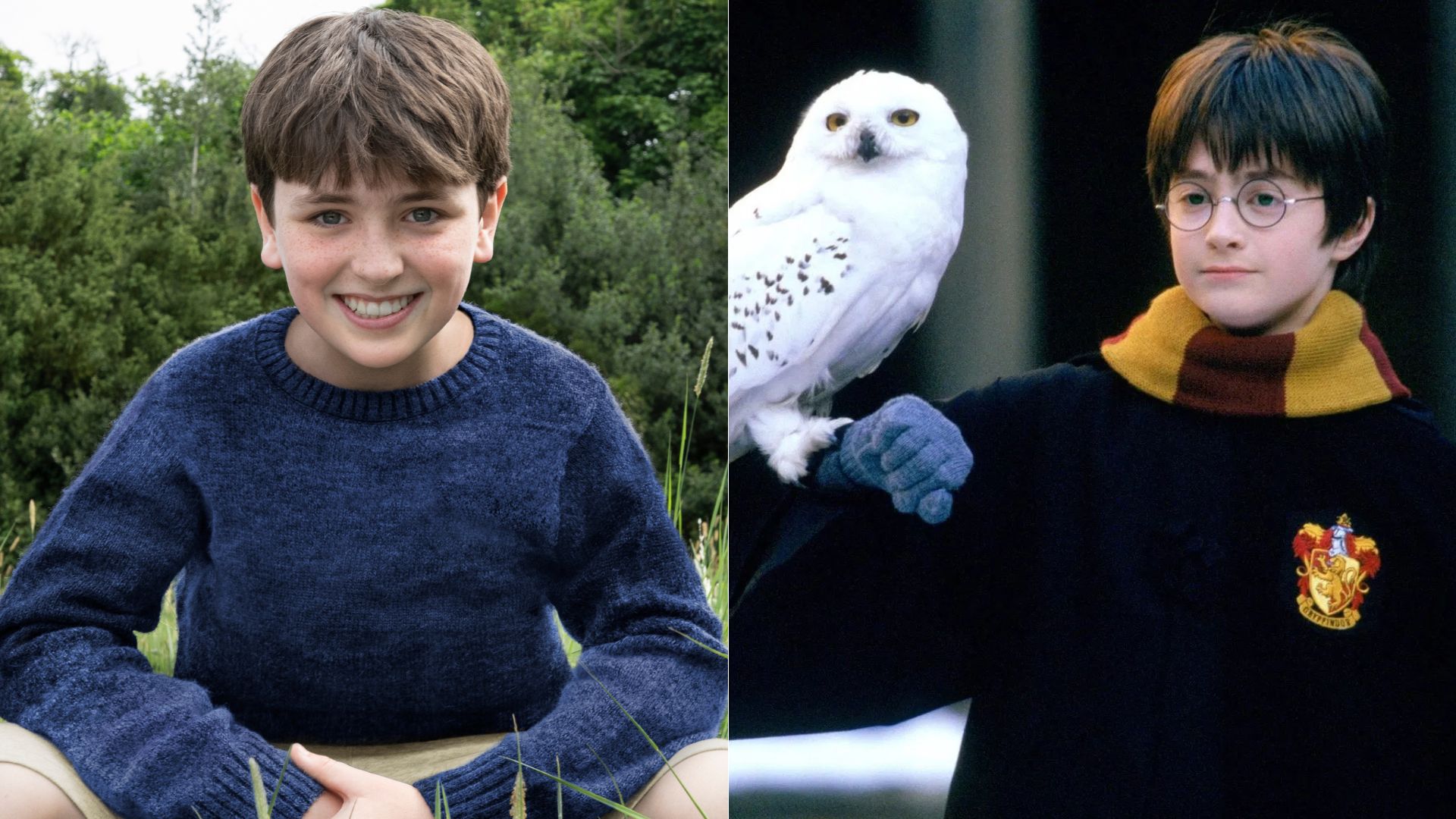 Novato no mundo da TV e do cinema, Dominic McLaughlin foi escolhido para interpretar o protagonista, Harry Potter, na série (Foto: Divulgação)