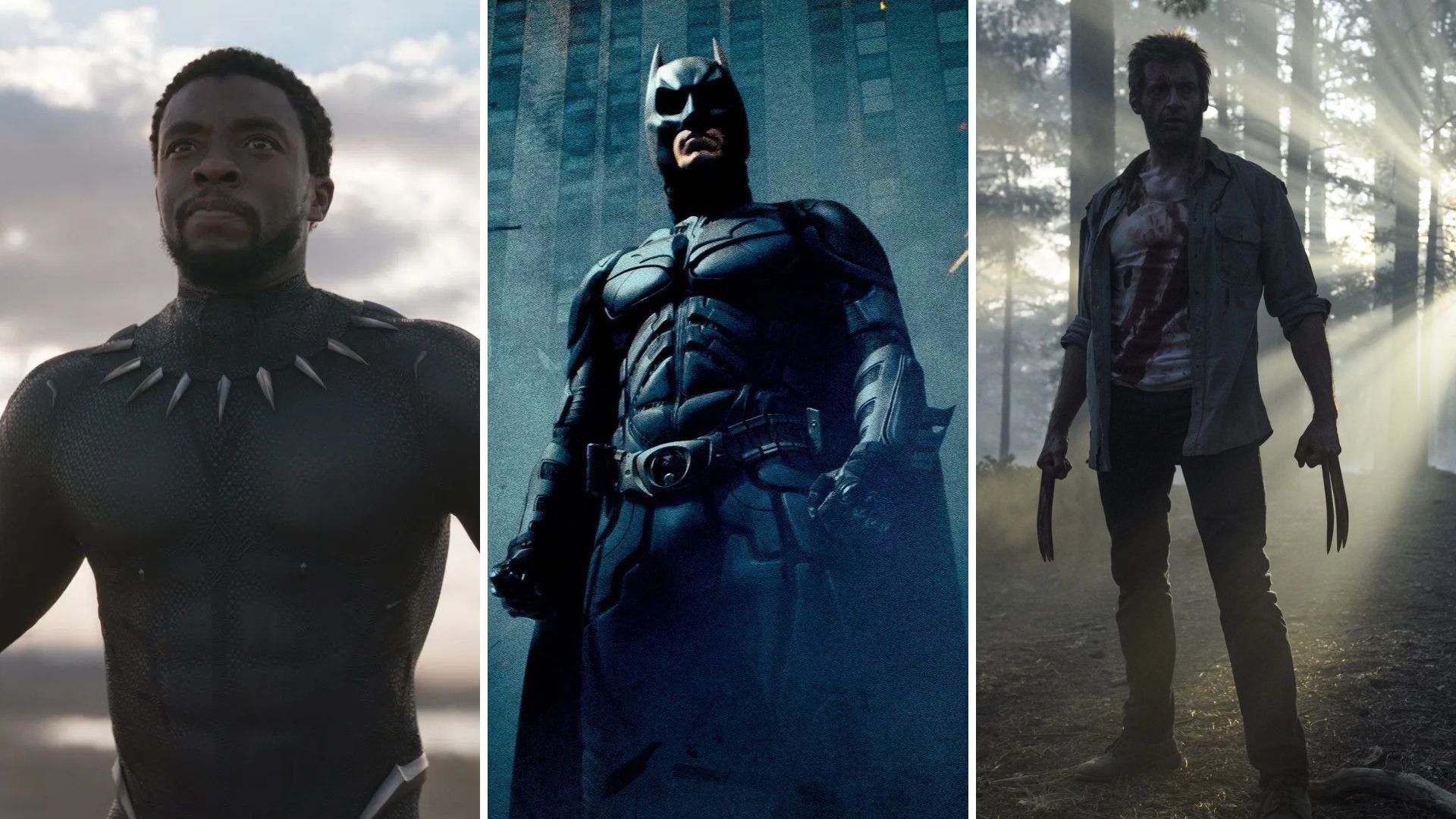 Pantera Negra, Batman: O Cavaleiro das Trevas e Logan