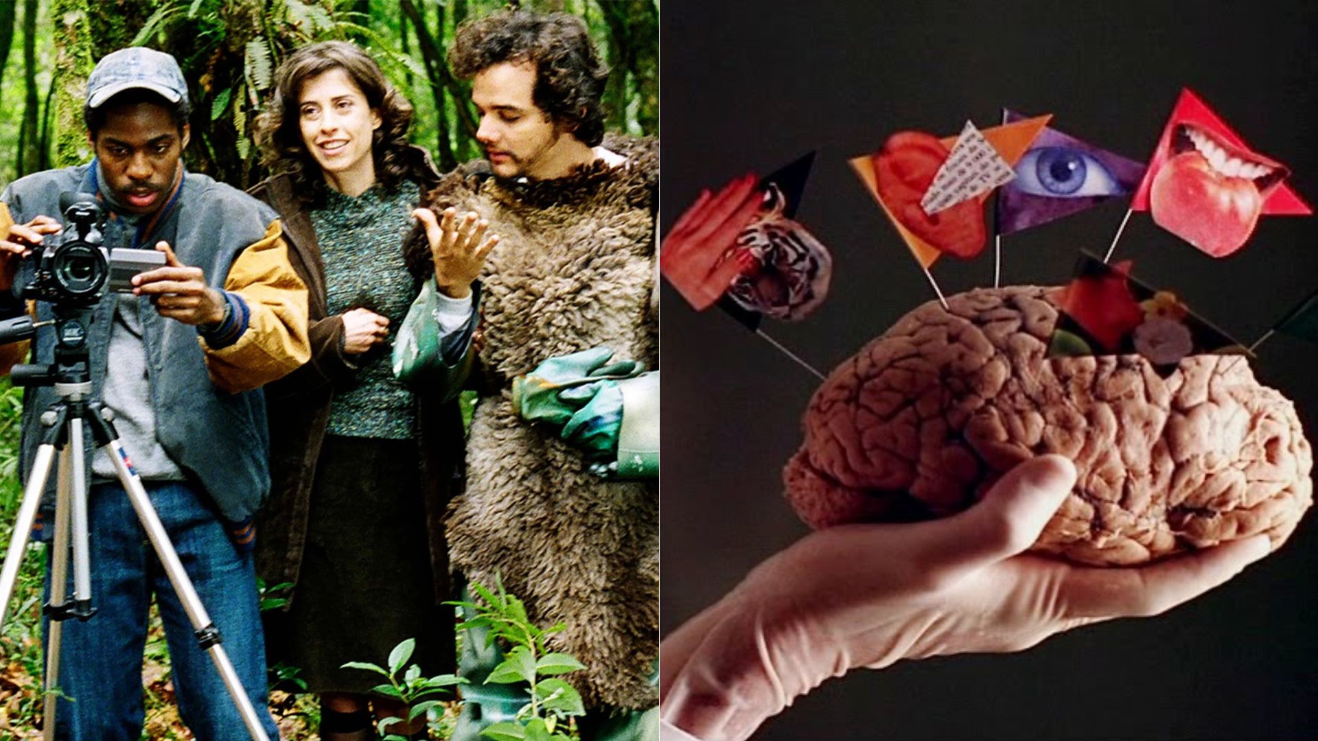 Saneamento Básico e Ilha das Flores retornam aos cinemas remasterizados e ainda atuais