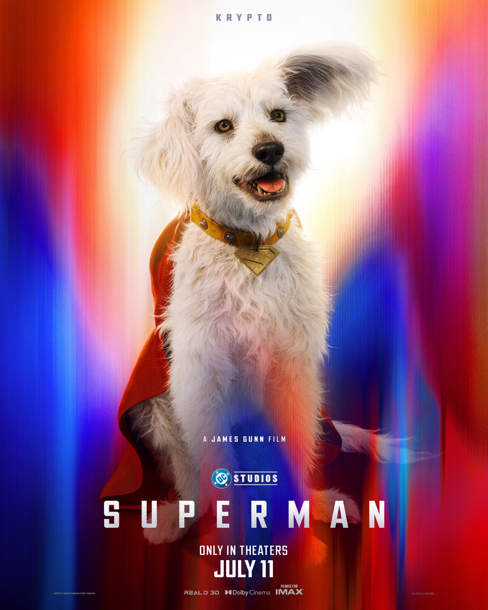 Krypto, fiel companheiro de Superman, em Superman (Foto: Divulgação/Warner Bros. Pictures)