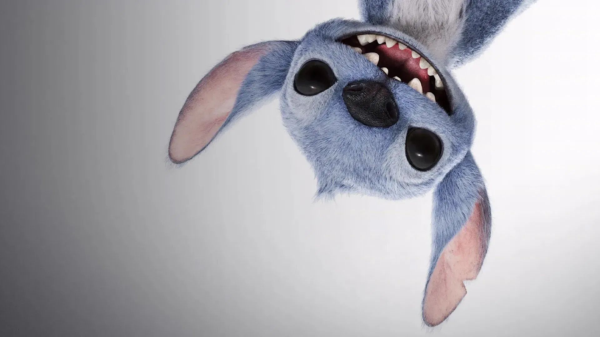 Lilo & Stitch 2 é confirmado pela Disney; veja teaser