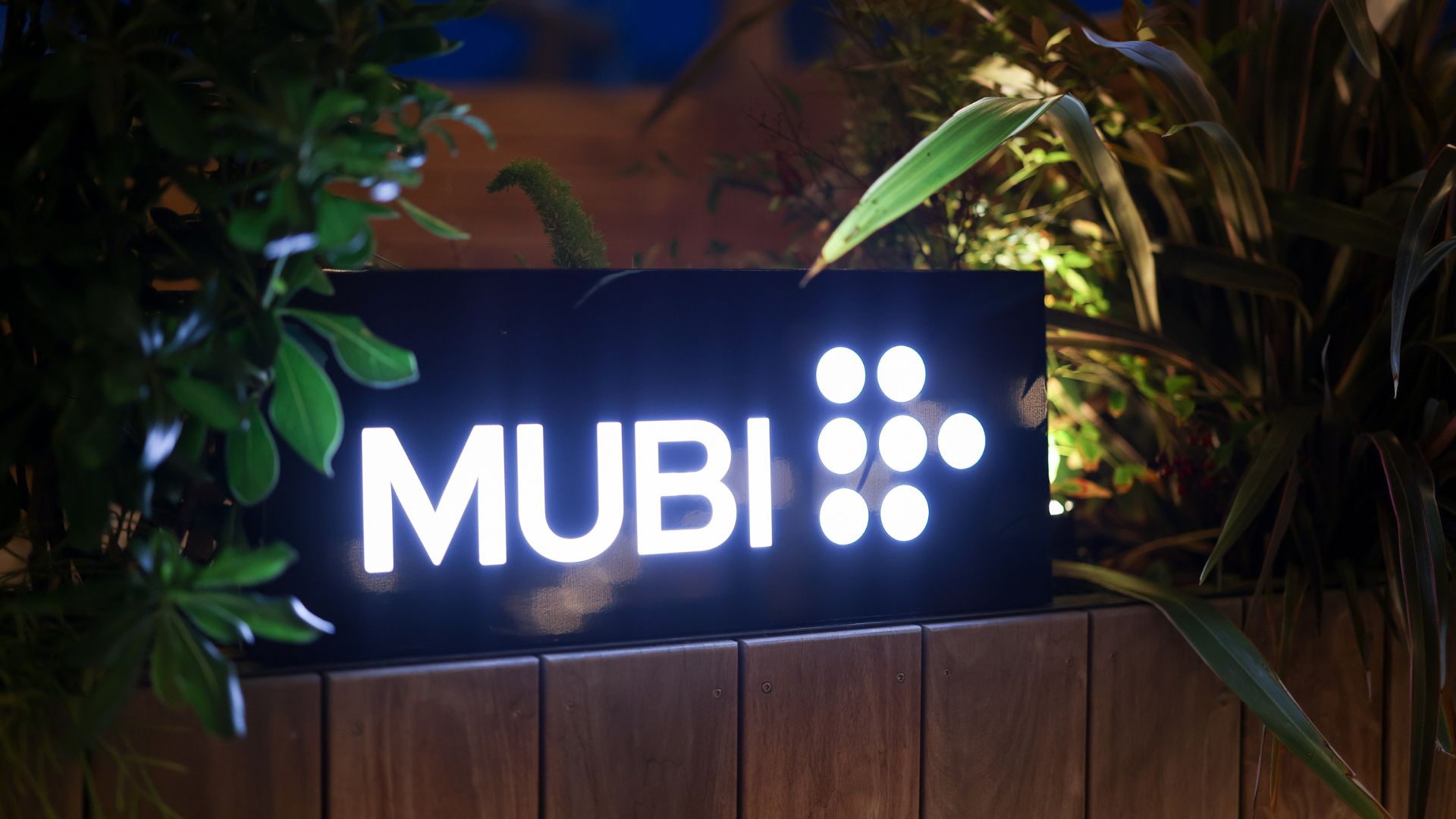 Tim P. Whitby/Getty Images for MUBI