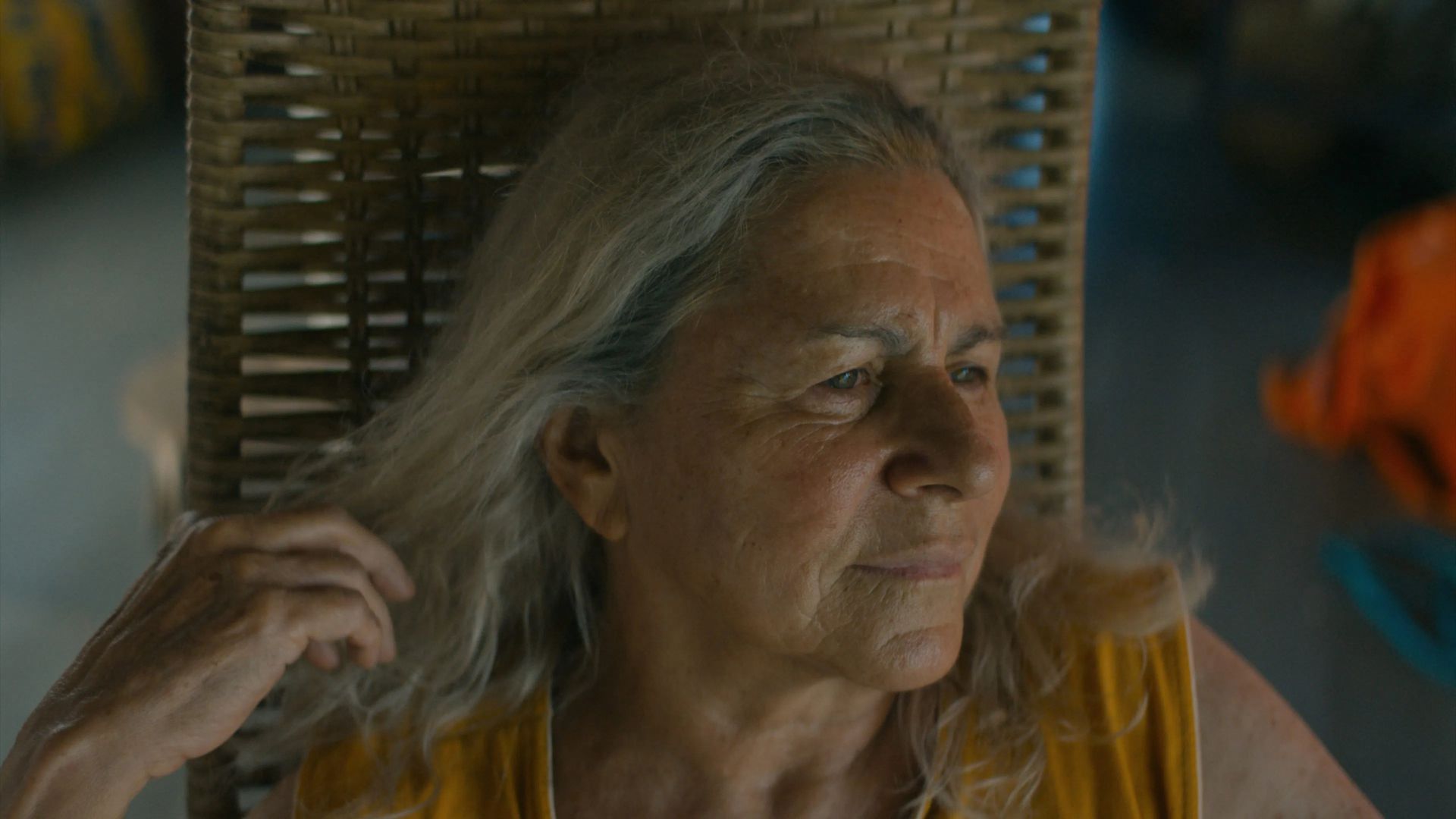 O Último Azul será o filme de abertura do 53º Festival de Cinema de Gramado