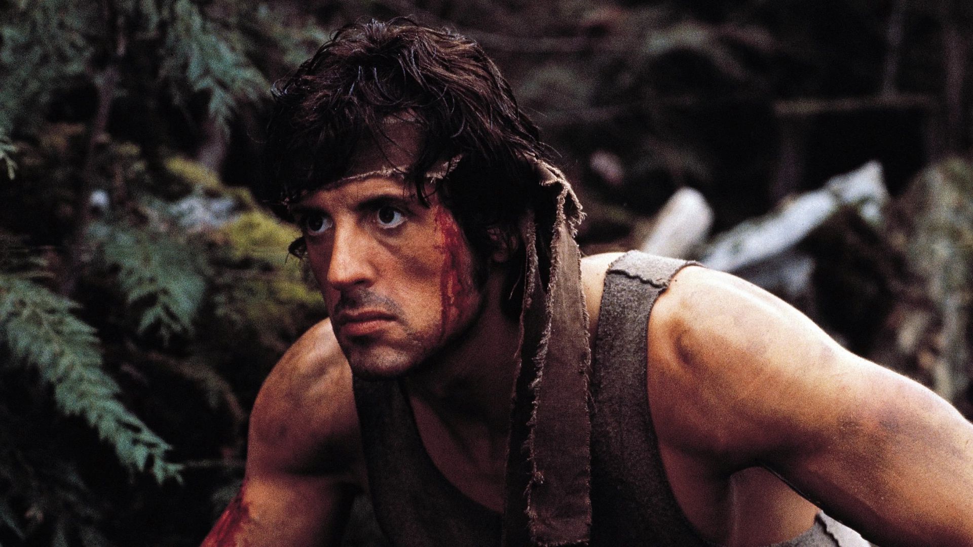 Stallone tentou 'comprar e queimar' cópias de filme que se tornou clássico