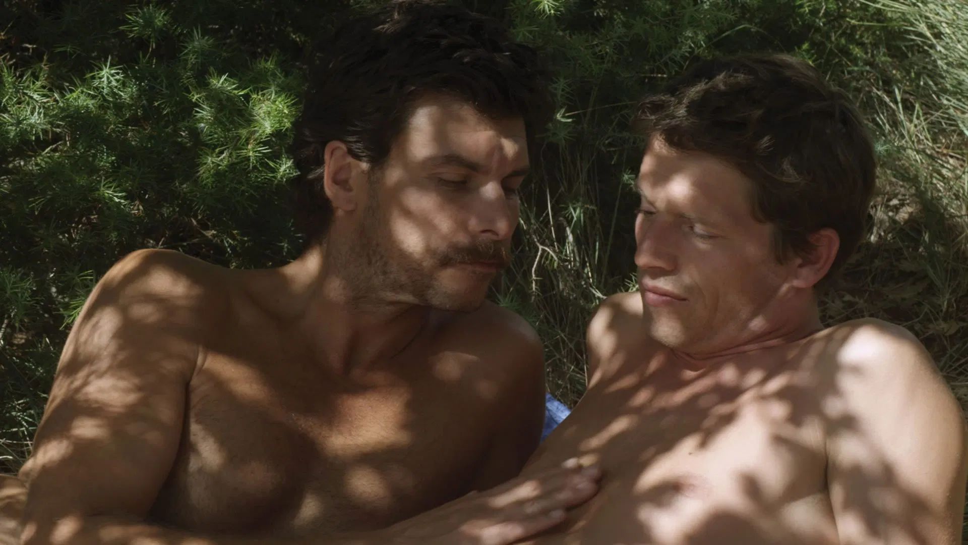 Considerado uma obra à la Hitchcock por alguns, Um Estranho no Lago entrega um suspense erótico tenso, elegante e hipnótico (Foto: Divulgação)