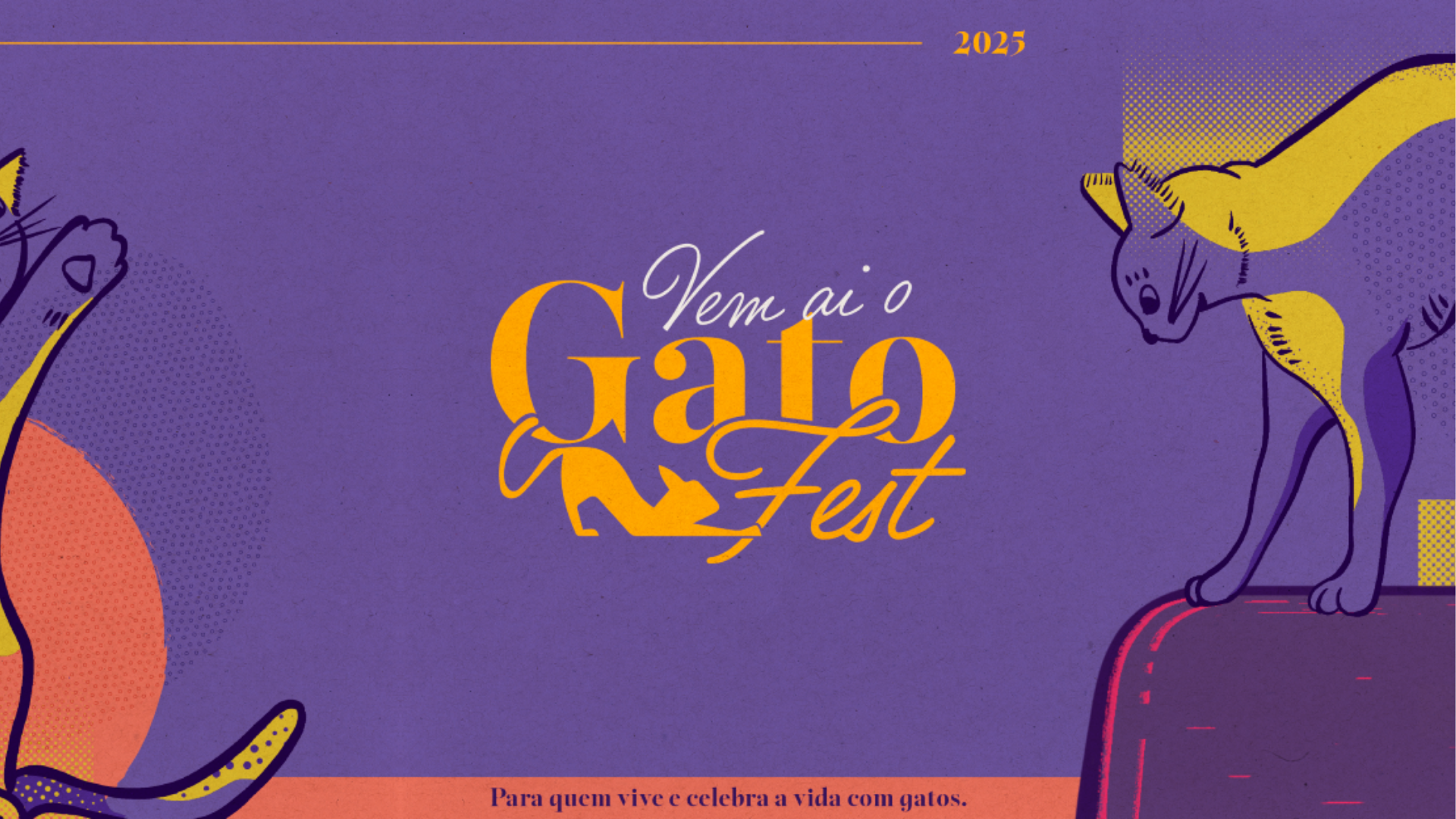 GatoFest (Foto: Divulgação)
