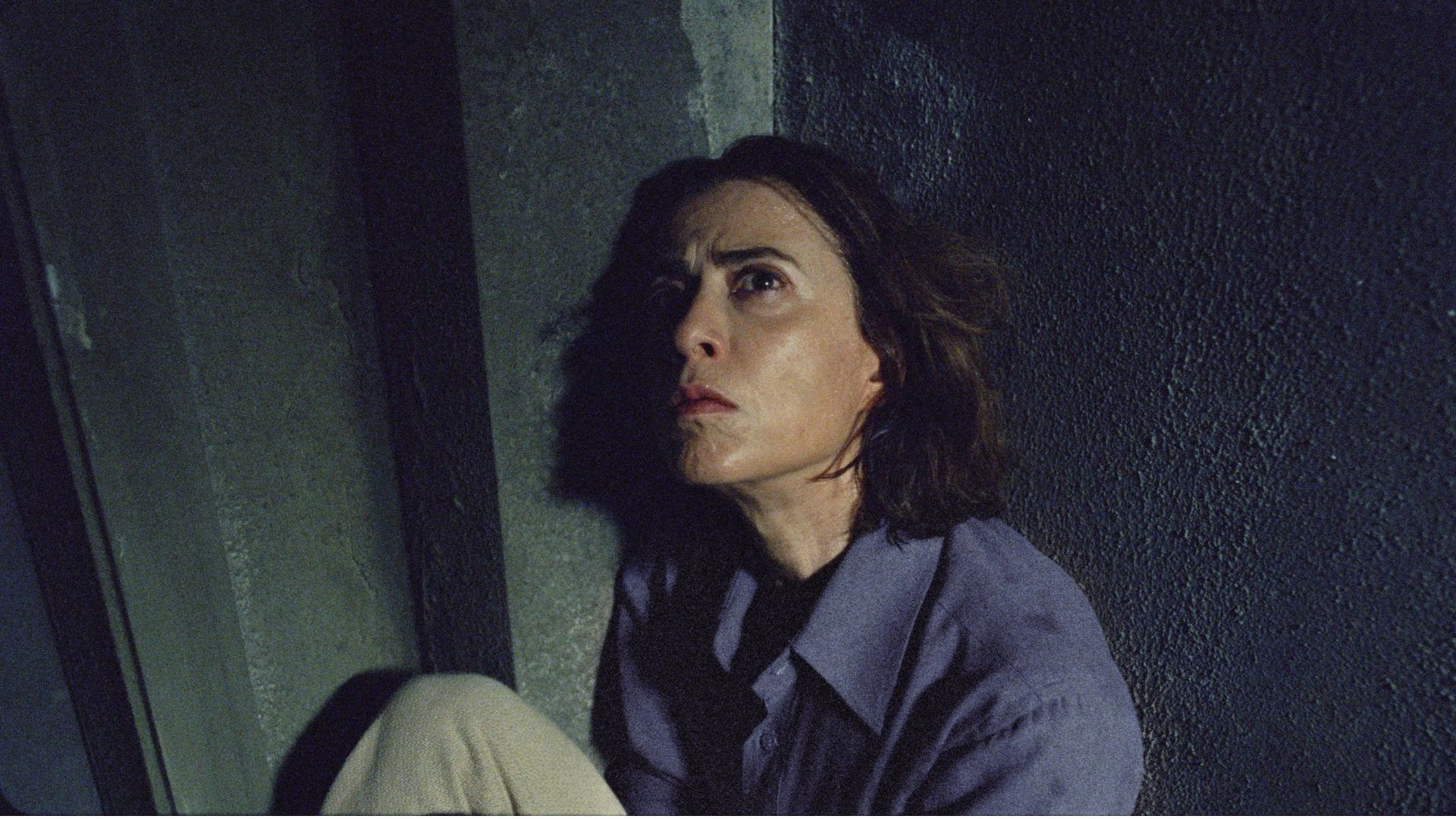 Fernanda Torres é anunciada como integrante no júri do Festival de Veneza