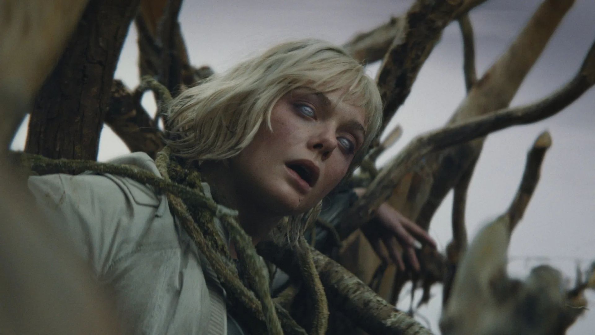 'Predador: Terras Selvagens', com Elle Fanning, ganha trailer; assista