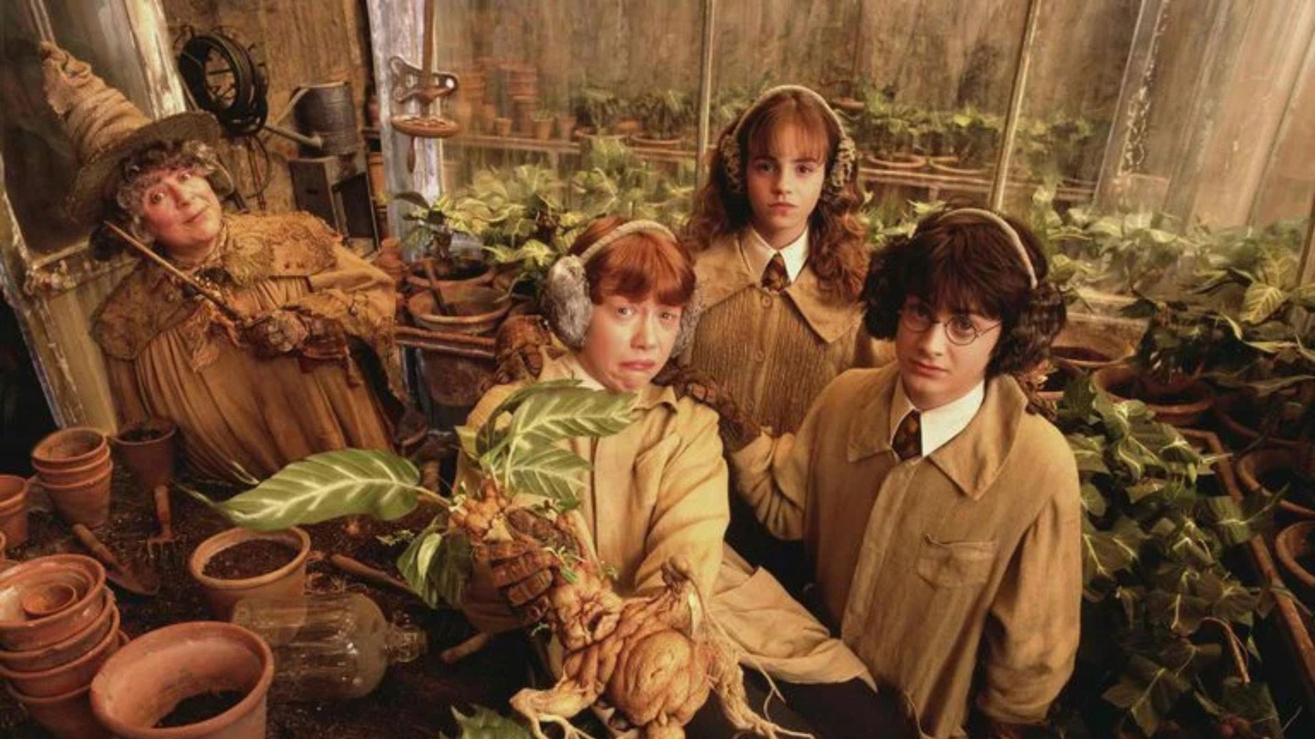 Atriz de Harry Potter diz que recorrerá a morte assistida se perder autonomia: “Pediria para ser sacrificada”