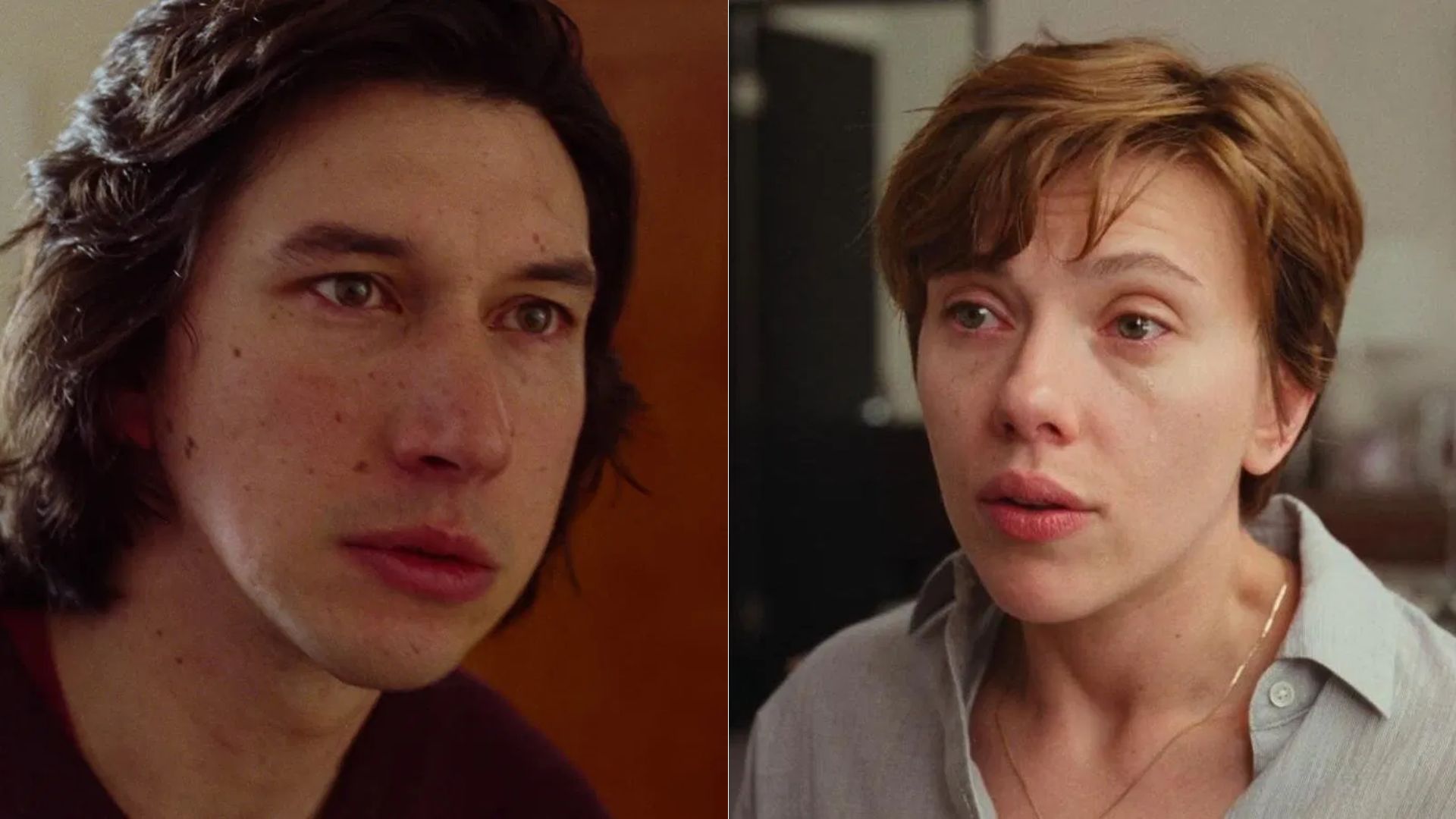"DR" entre Scarlett Johansson e Adam Driver vira defesa contra lobos nos EUA