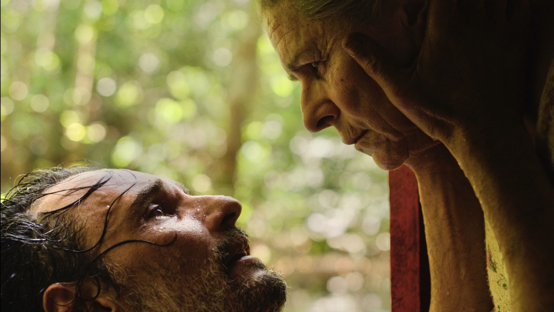 O Último Azul é coming of age da terceira idade em uma Amazônia distópica e fabular; leia a crítica