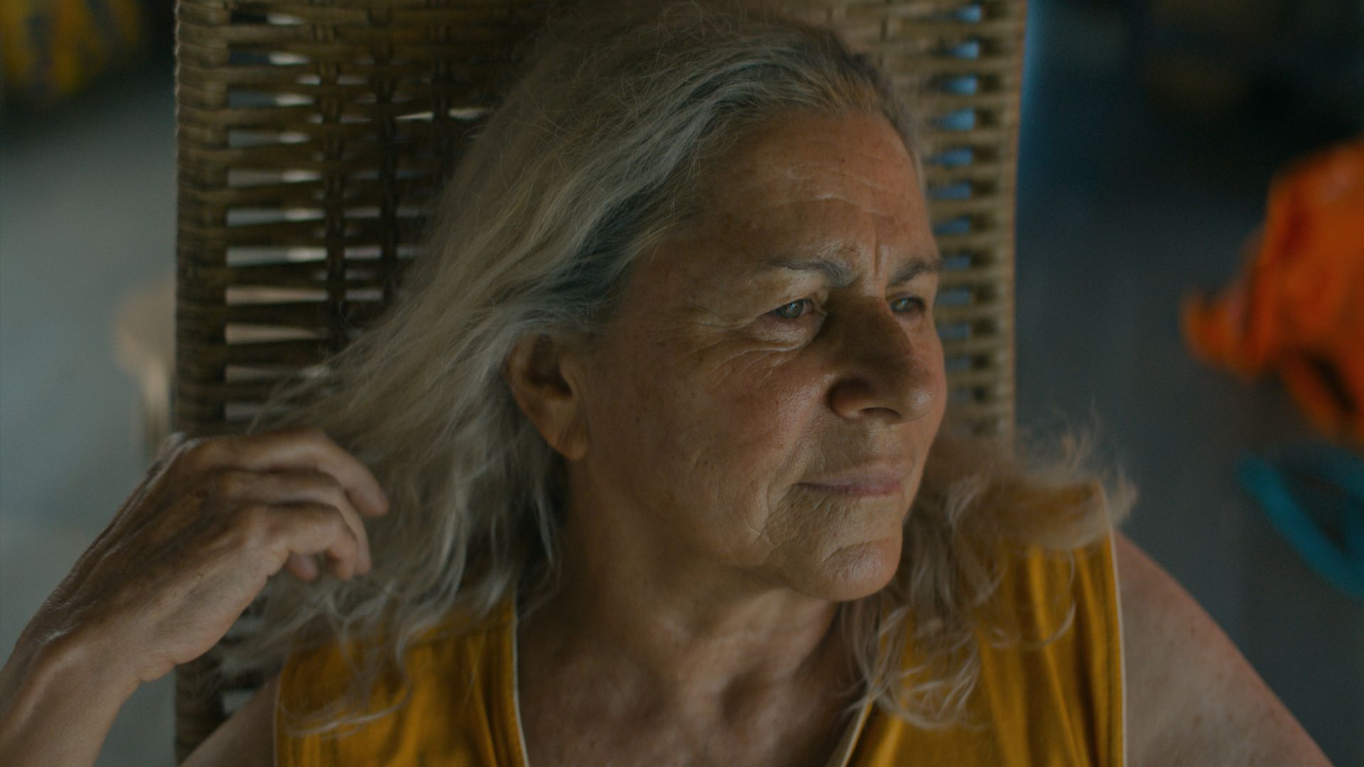 ''O Último Azul' olha para o envelhecer de forma generosa', comenta Gabriel Mascaro (Divulgação/Vitrine Filmes)