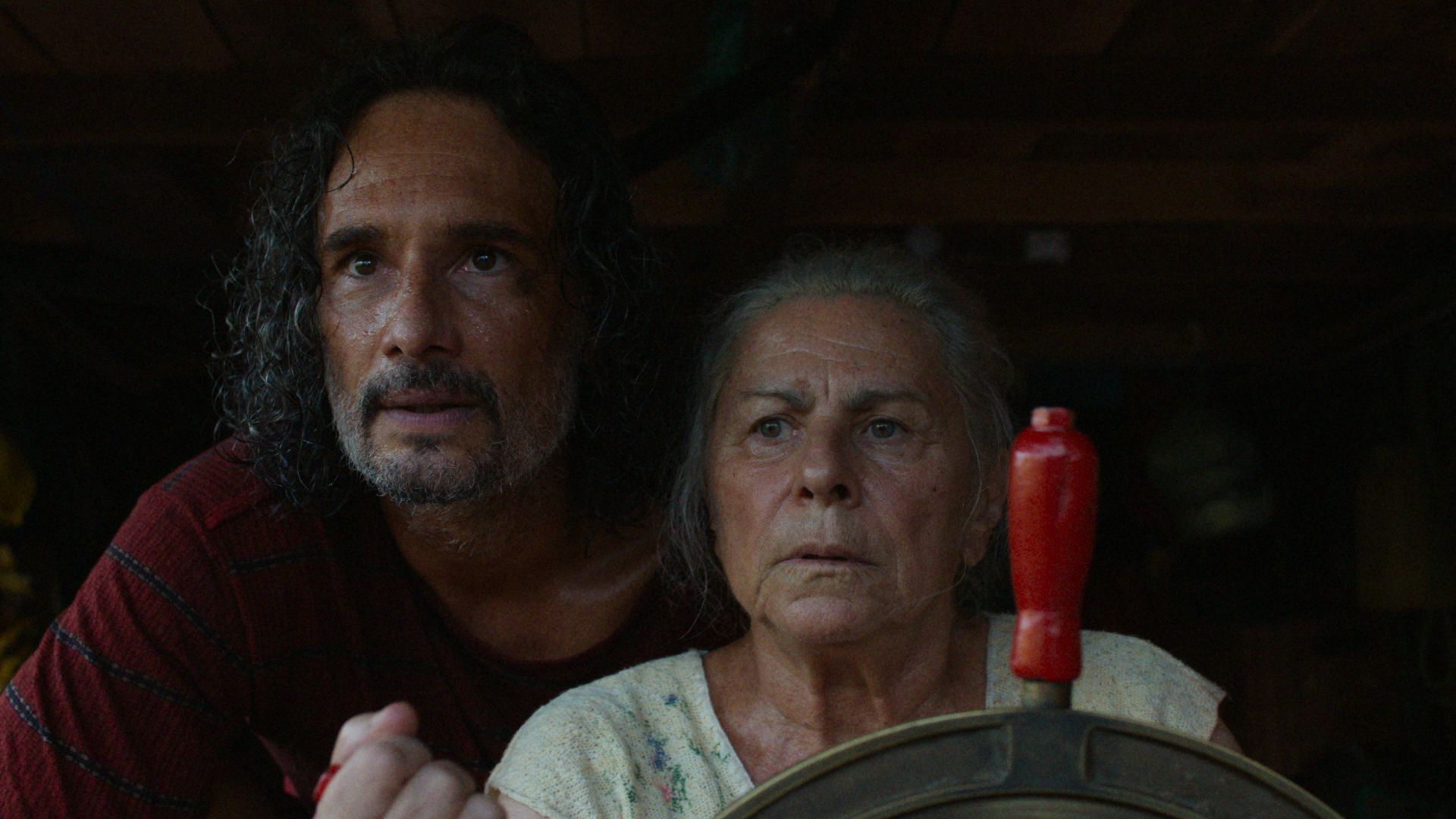 'Os idosos são capazes de coisas incríveis': Denise Weinberg fala sobre 'O Último Azul' (Divulgação/Vitrine Filmes)