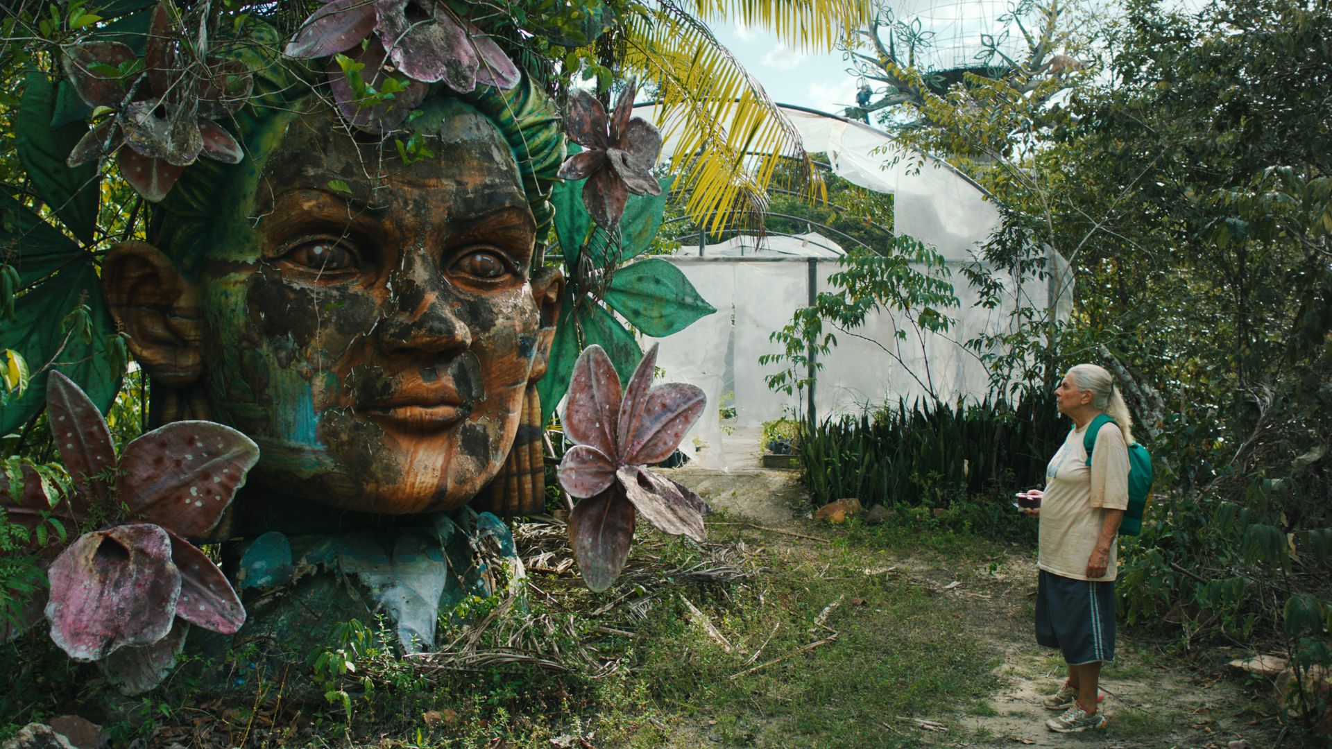 'Os idosos são capazes de coisas incríveis': Denise Weinberg fala sobre 'O Último Azul' (Divulgação/Vitrine Filmes)