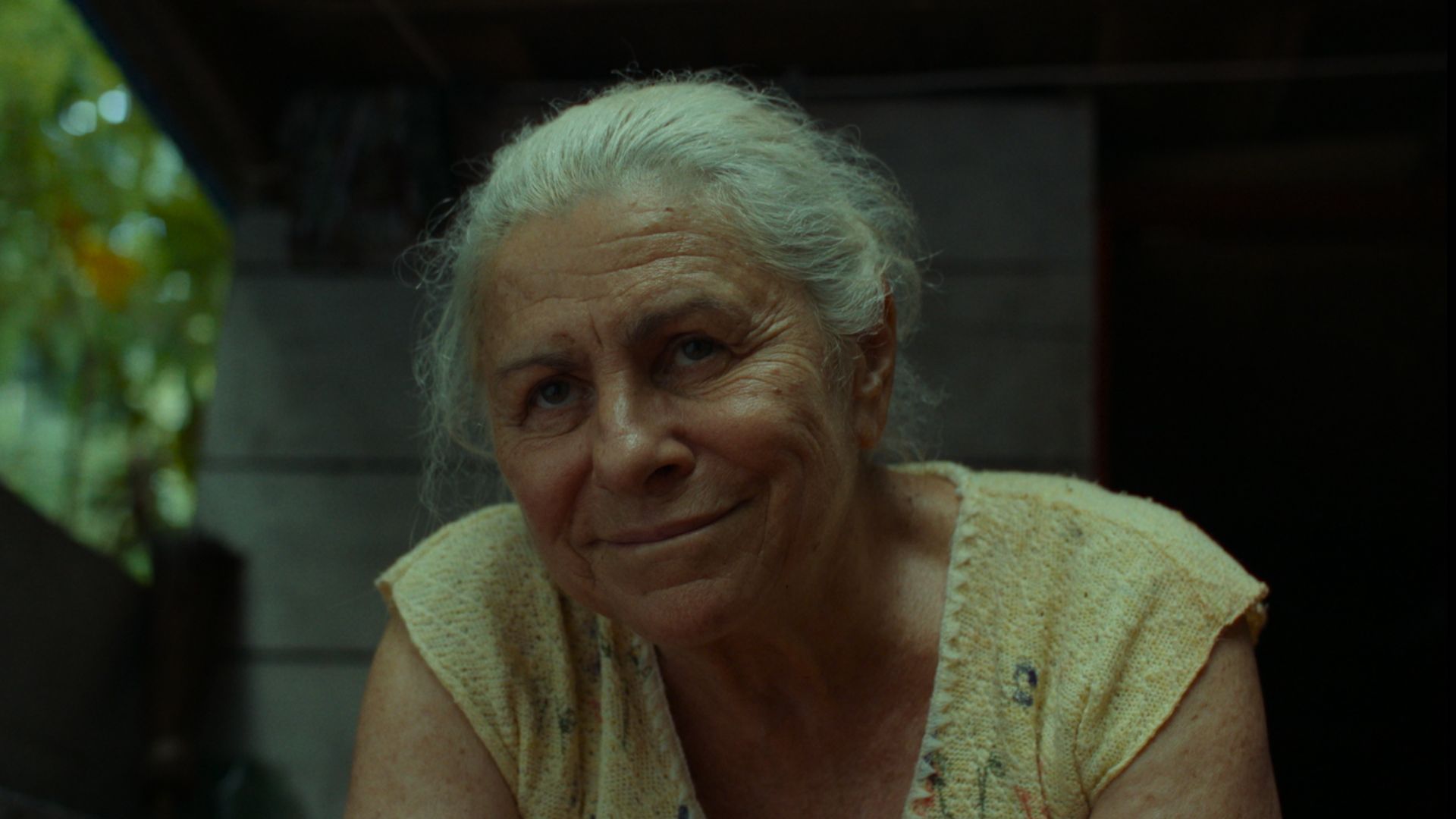 'Os idosos são capazes de coisas incríveis': Denise Weinberg fala sobre 'O Último Azul' (Divulgação/Vitrine Filmes)