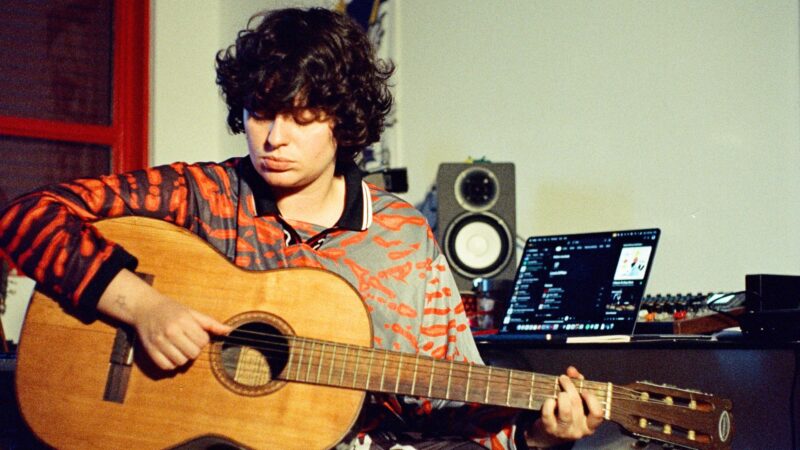 Ana Frango Elétrico