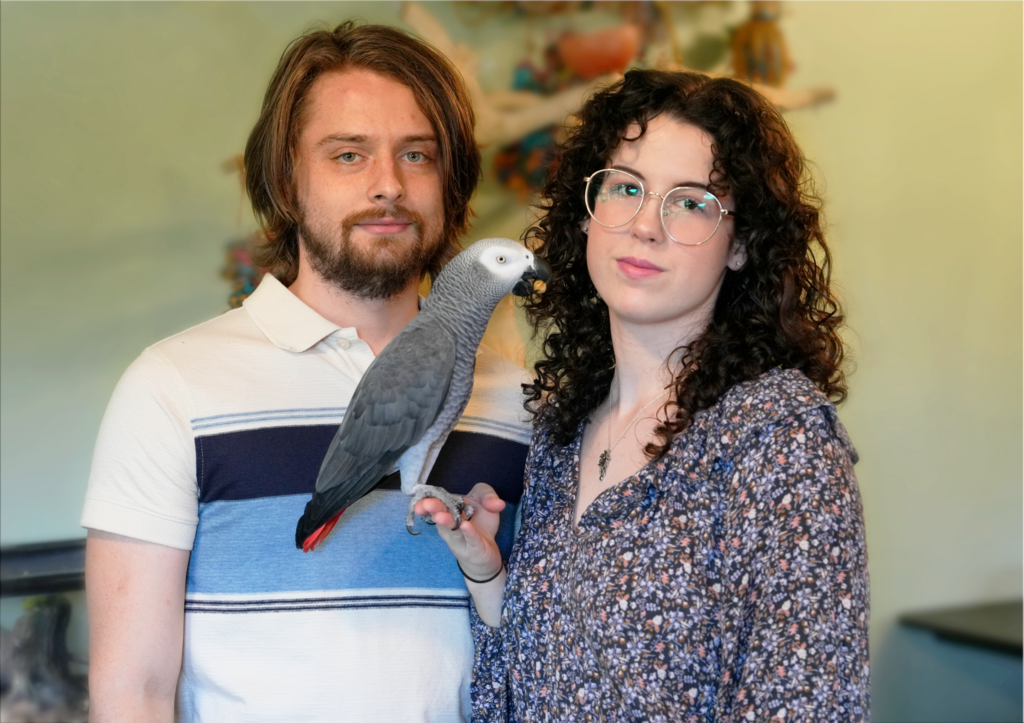 Apollo, o papagaio da Flórida que pertence a Dalton e Tori Mason, tem 3 milhões de seguidores no TikTok