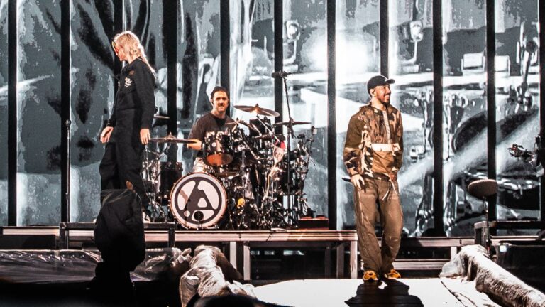 Abelhas atacam fãs de Linkin Park antes de show em Brasília