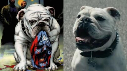 Morre cachorro do Billy Bruto de The Boys; perfil oficial lamenta