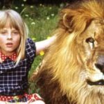 O dia em que uma jovem Jodie Foster quase foi devorada por um leão