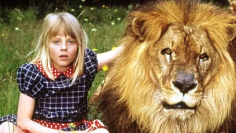 O dia em que uma jovem Jodie Foster quase foi devorada por um leão