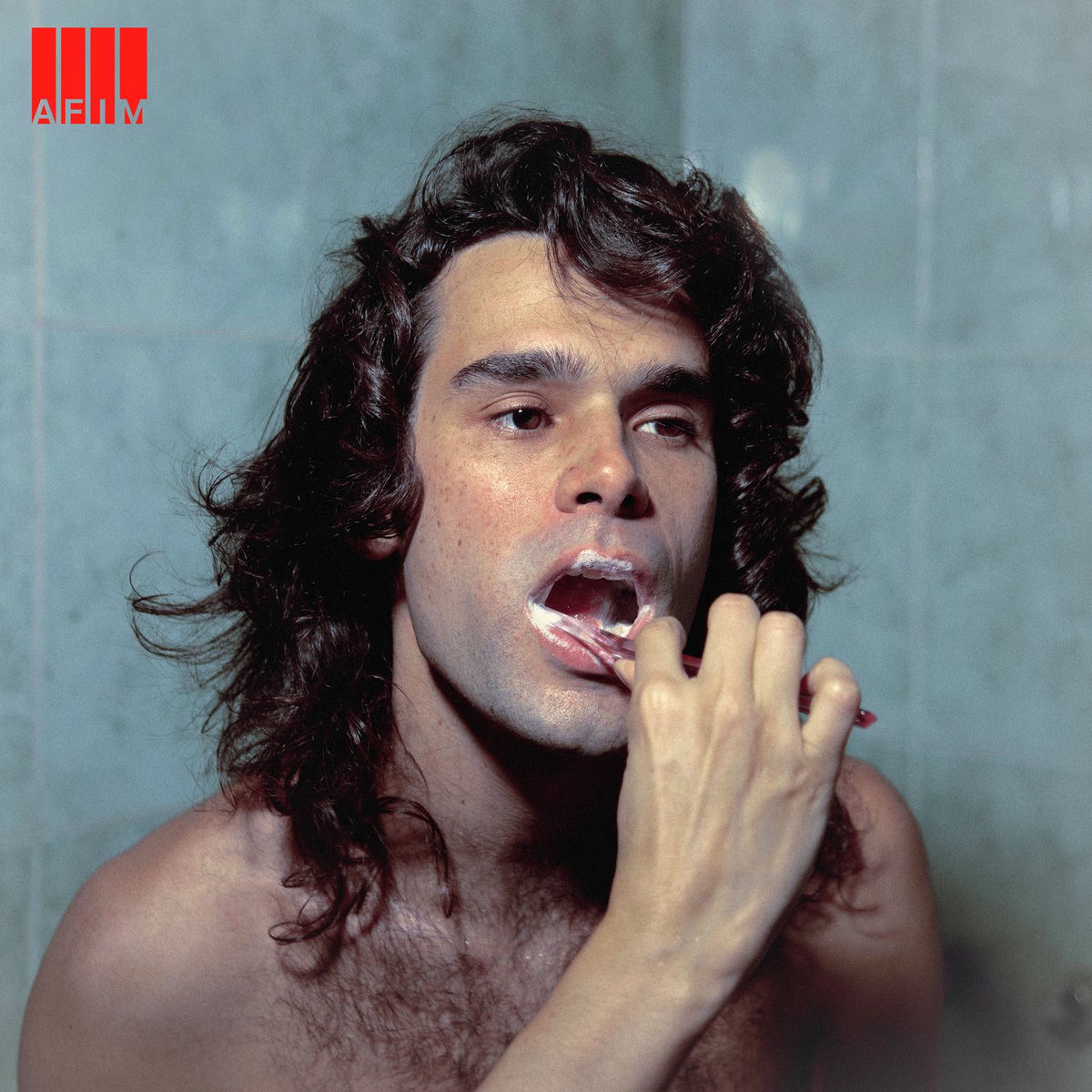 Capa de Afim, de Zé Ibarra