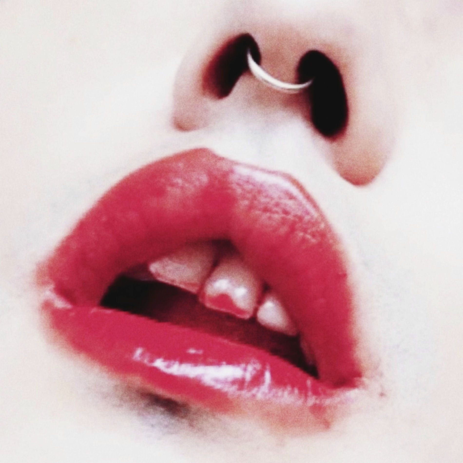 Capa de Caminhos Selvagens, de Catto