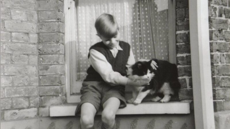 Casa de David Bowie em Londres será aberta ao público