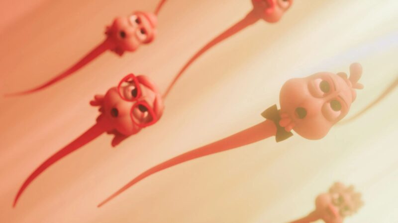 O humor ácido do Porta dos Fundos desembarca no cinema com animação inusitada sobre 'Espermagedom'