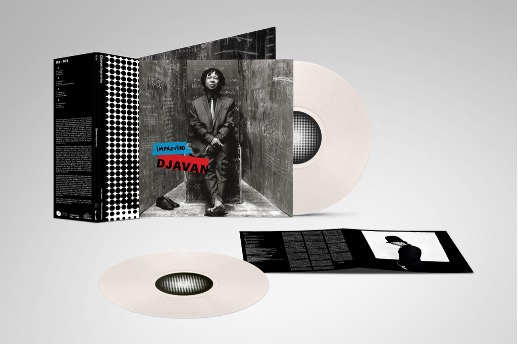 Vinil Improviso, Djavan