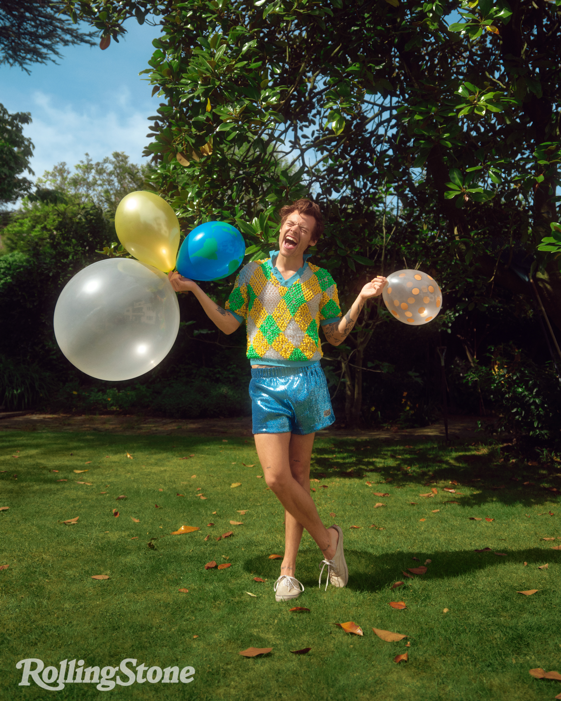 Harry Styles, por Amanda Fordyce