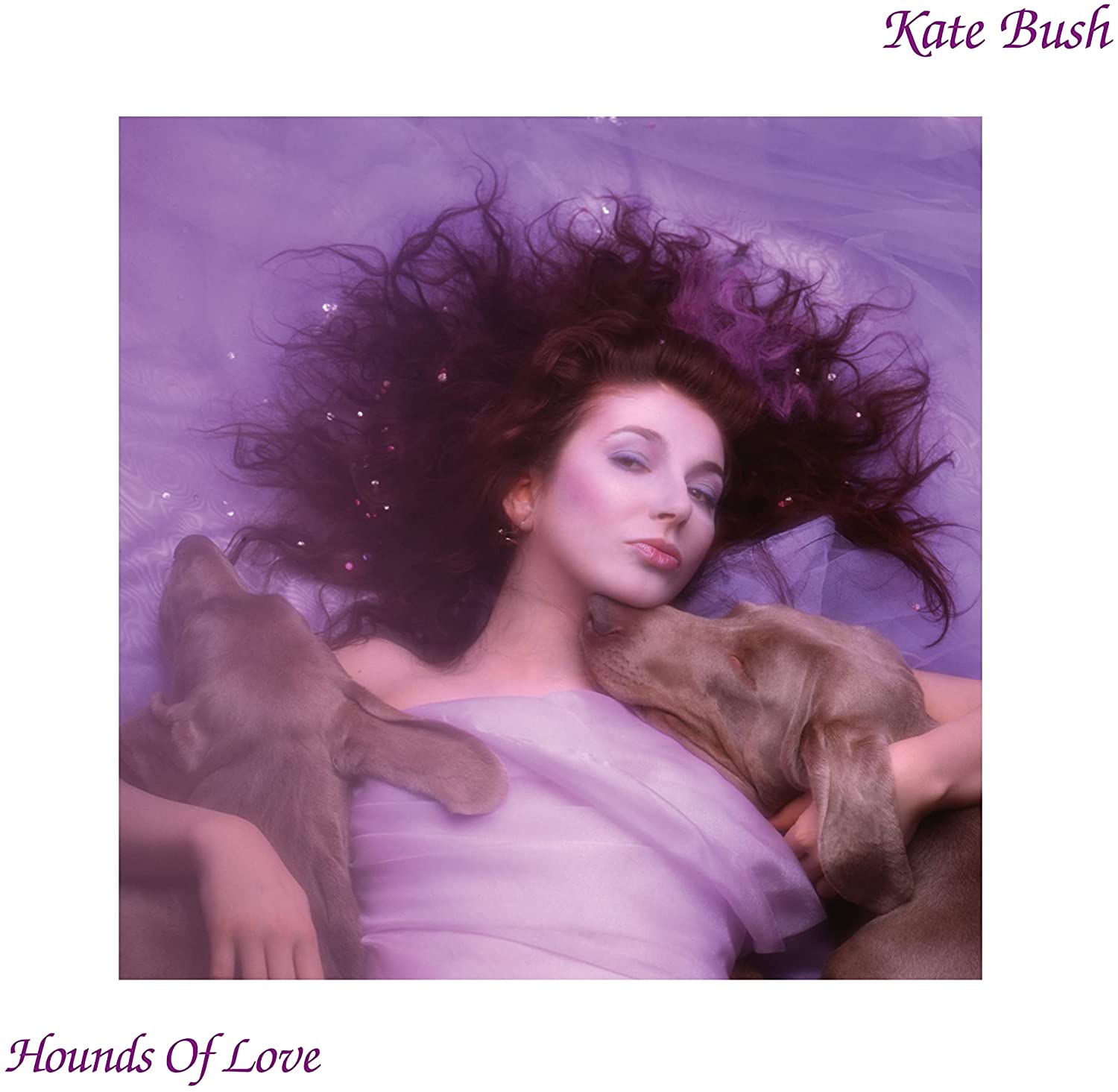 Hounds of Love, de Kate Bush (Reprodução)