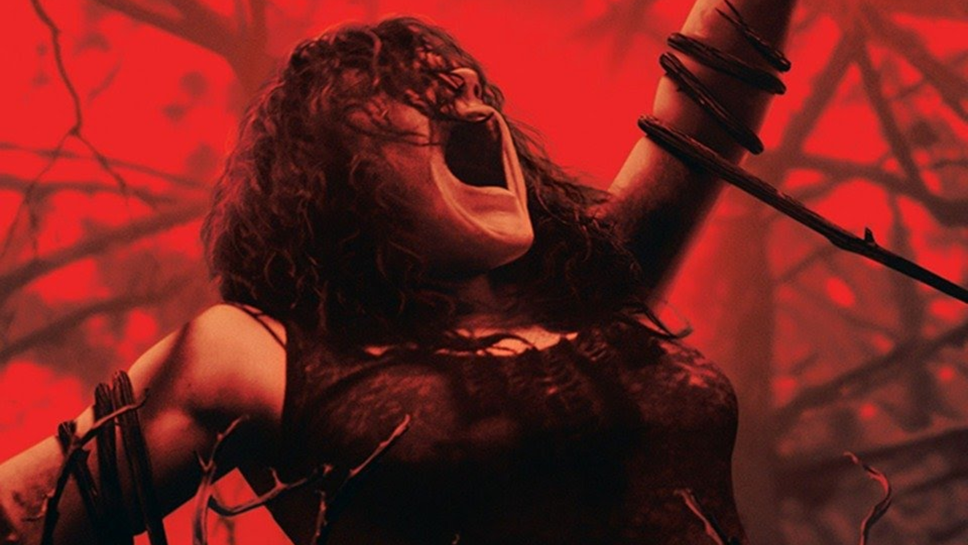 Capa de 'A Morte do Demônio' (Foto: Divulgação/ TriStar Pictures)