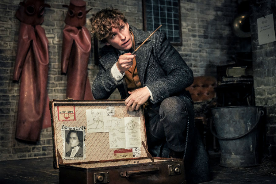 Eddie Redmayne vive Newt Scamander