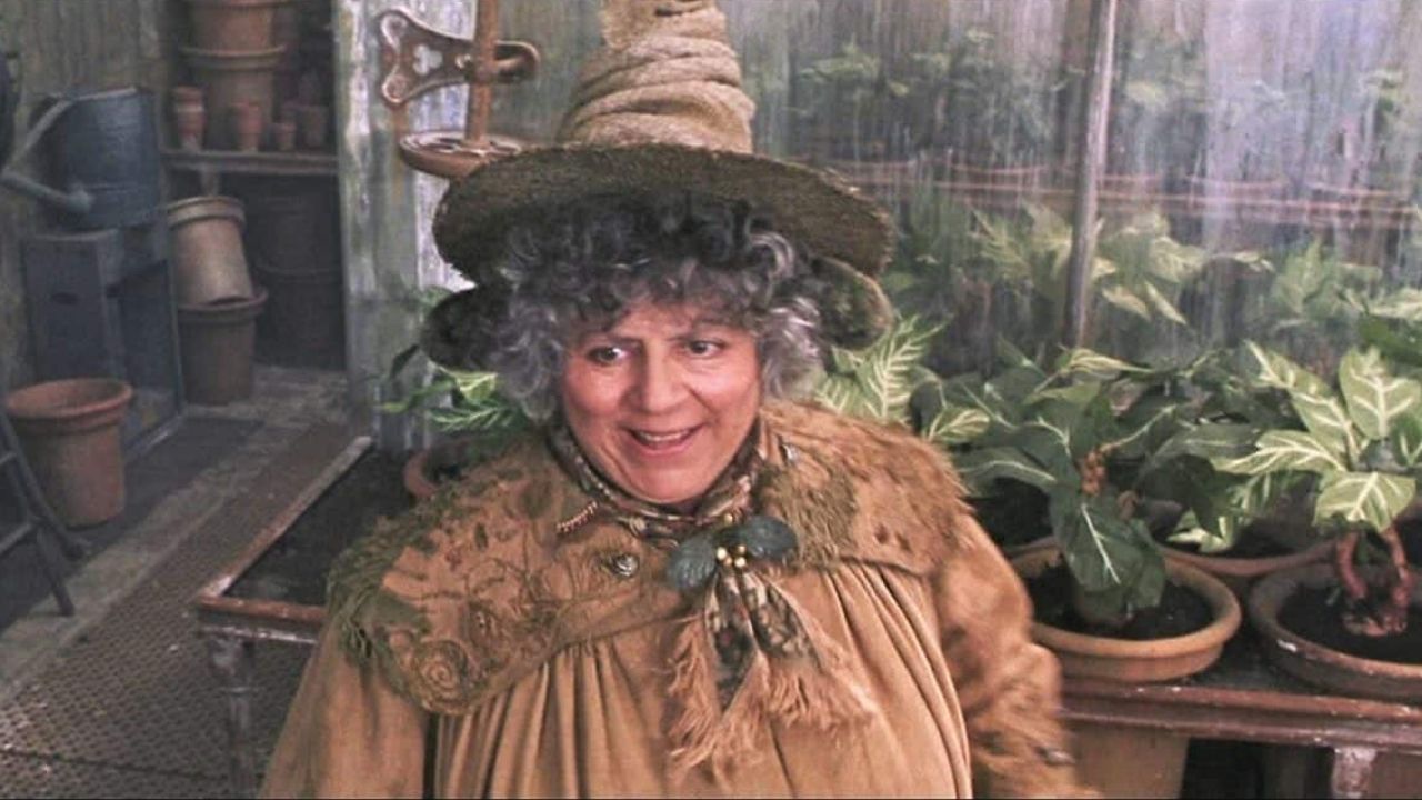 Miriam Margolyes como professora Sprout (Foto: Reprodução/Warner Bros.)