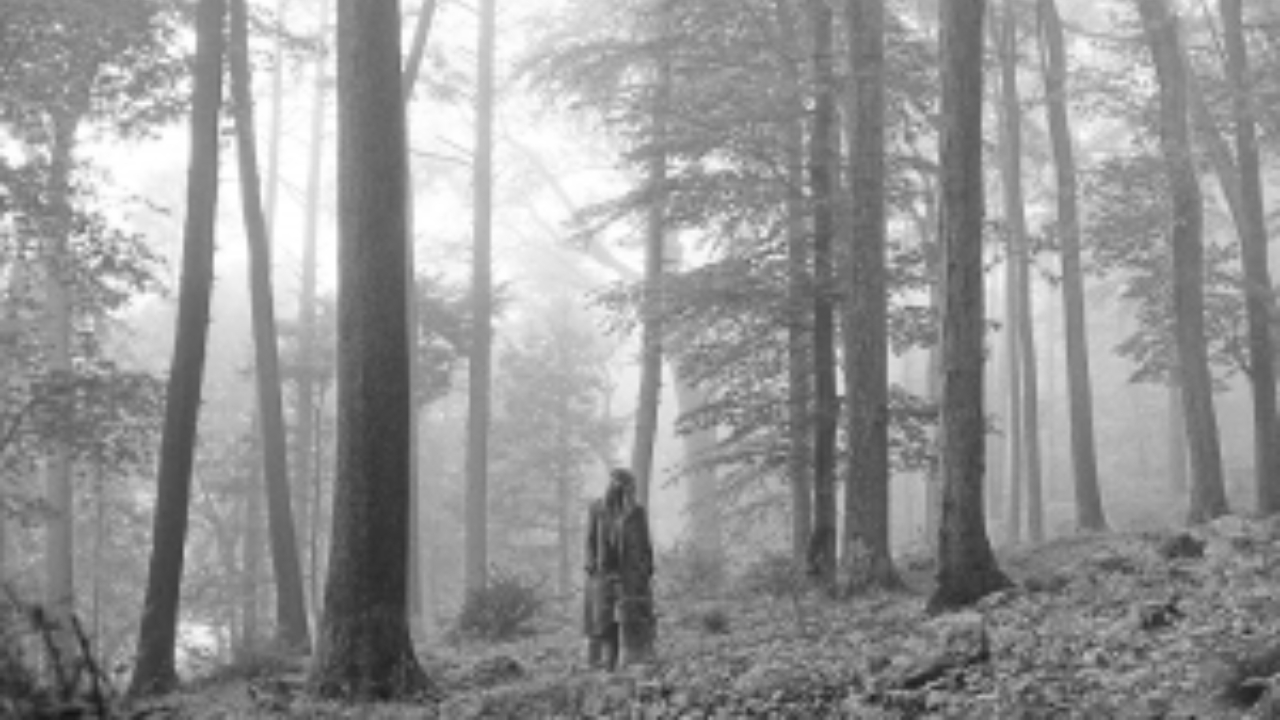 Capa Folklore, Taylor Swift (Foto: Reprodução)