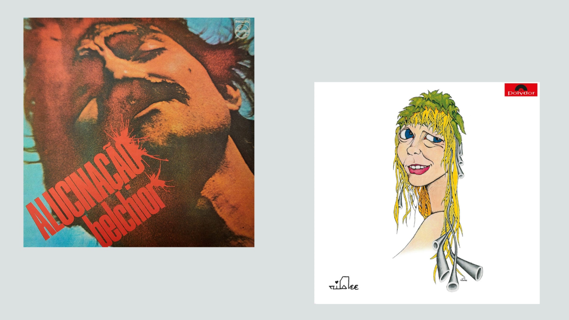 Selecionamos 10 vinis nacionais que vão te conquistar