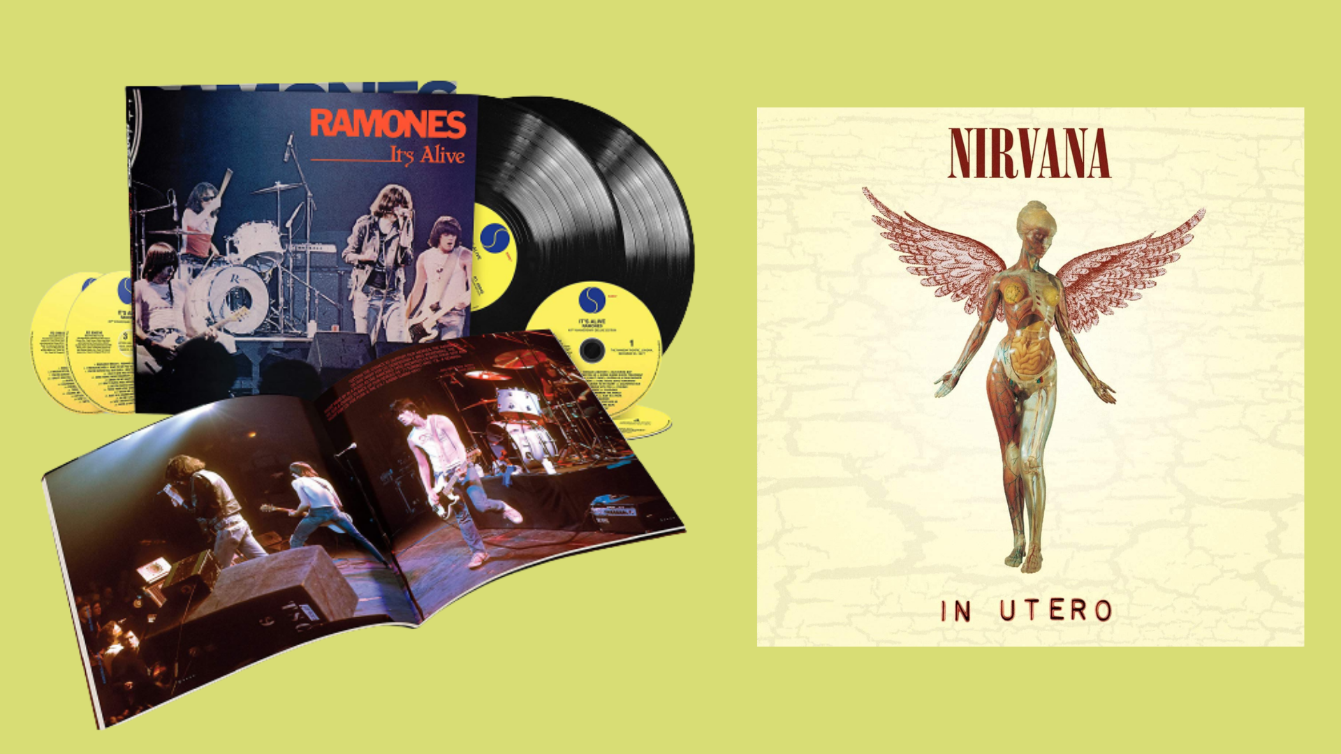 In Utero, Dookie, Slippery When Wet e outros vinis que vão te conquistar