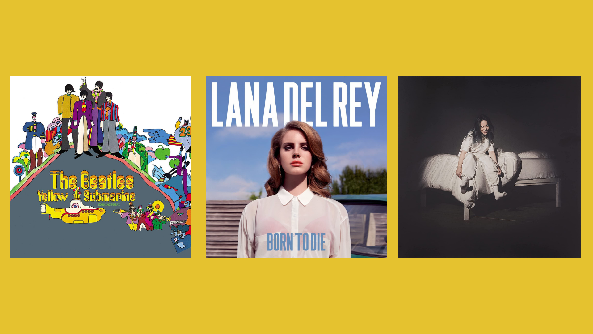 Born to Die, Bohemian Rhapsody e outros discos de vinil que vão te conquistar