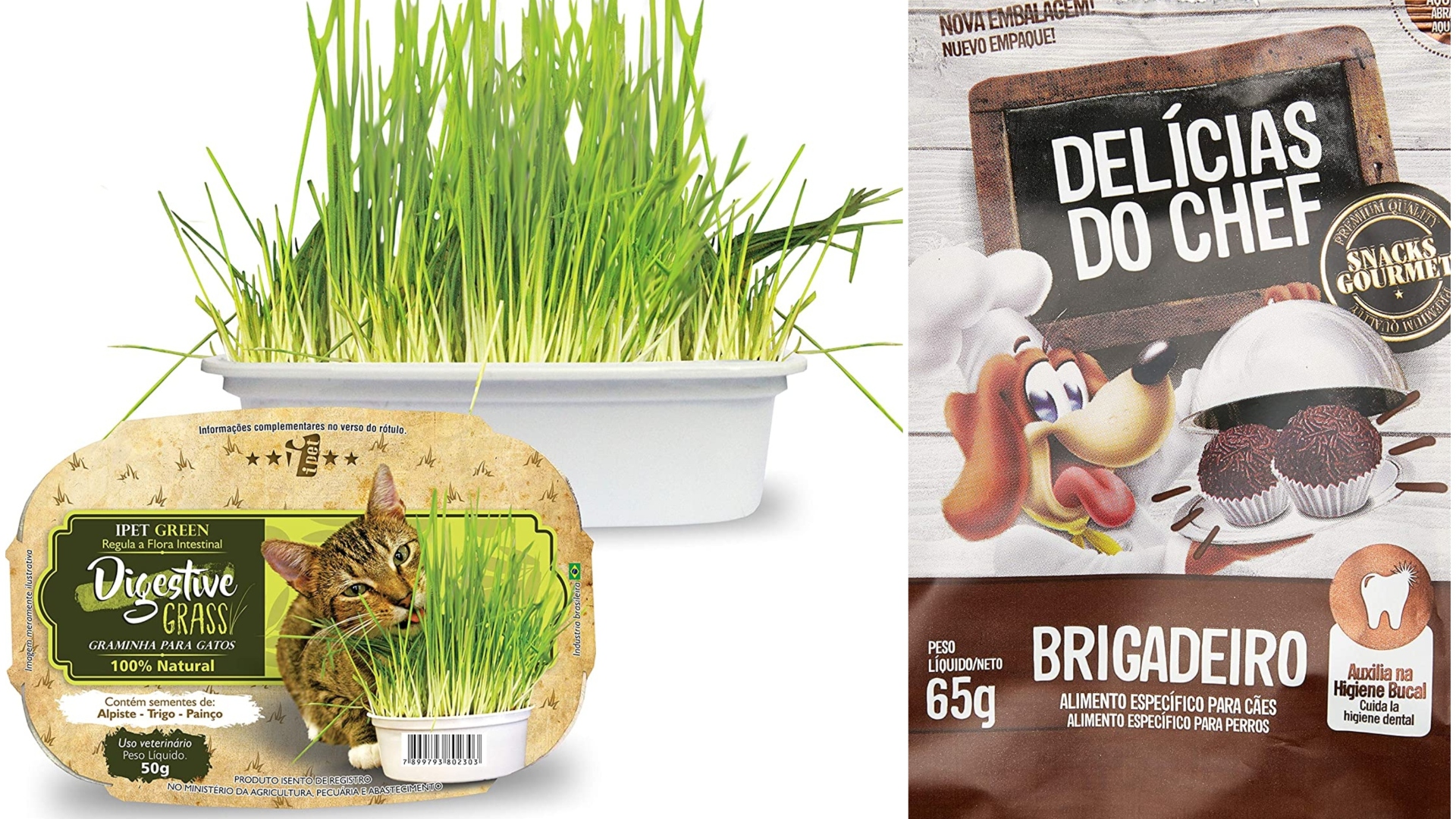 Selecionamos 7 itens que os seus bichinhos vão amar