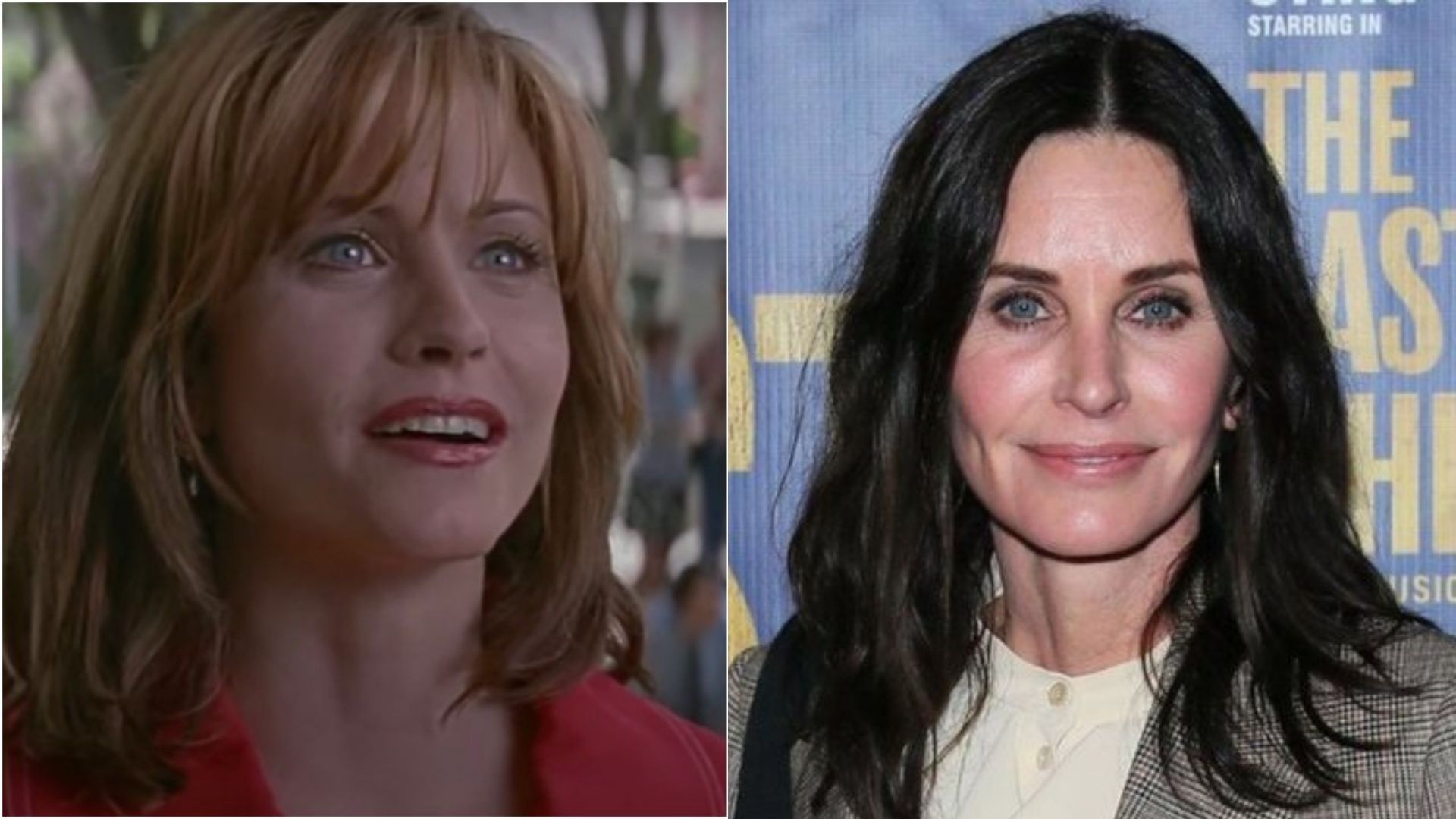 courteney cox panico