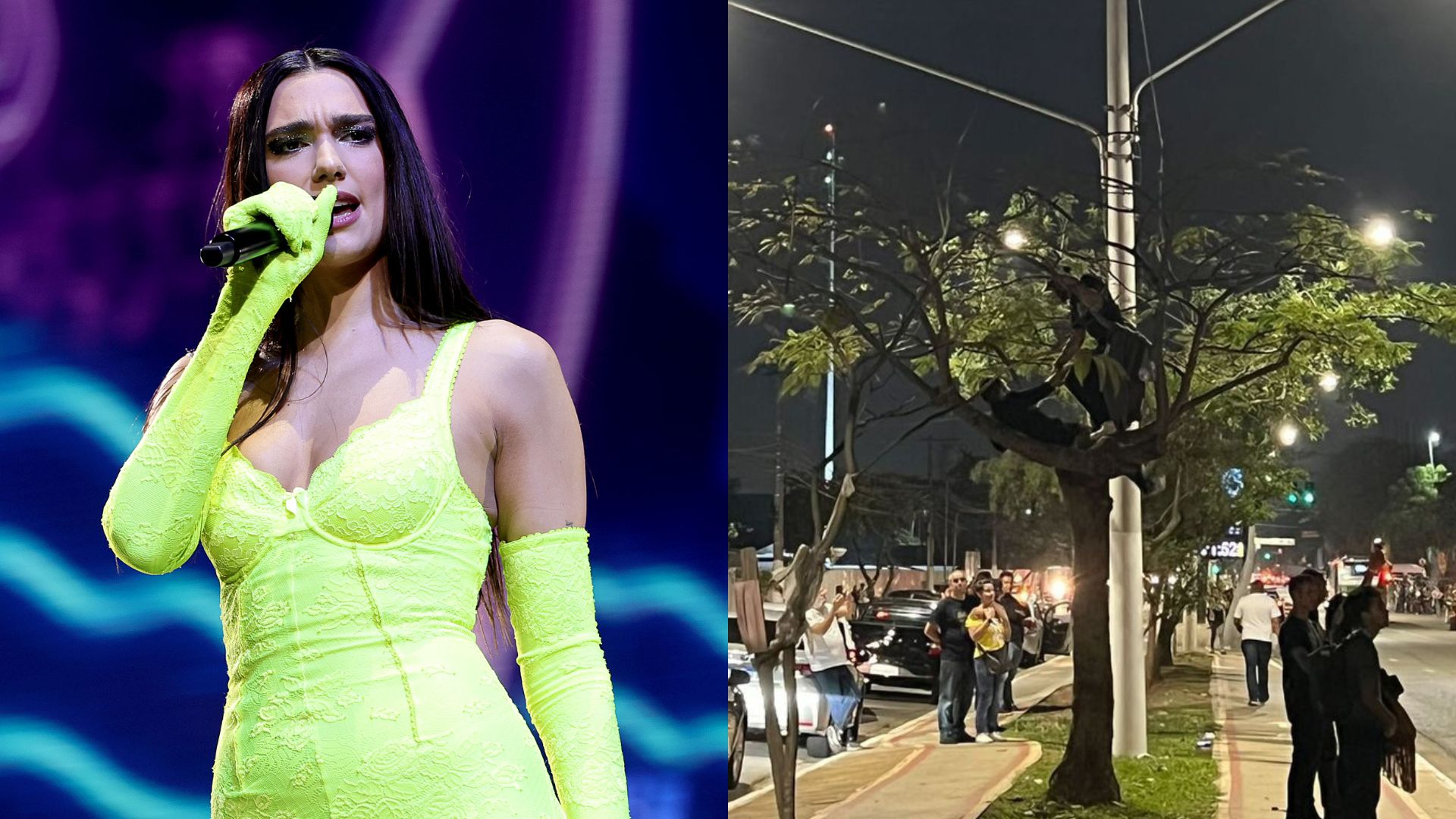 rock in rio / palco mundo / Dua Lipa / festival