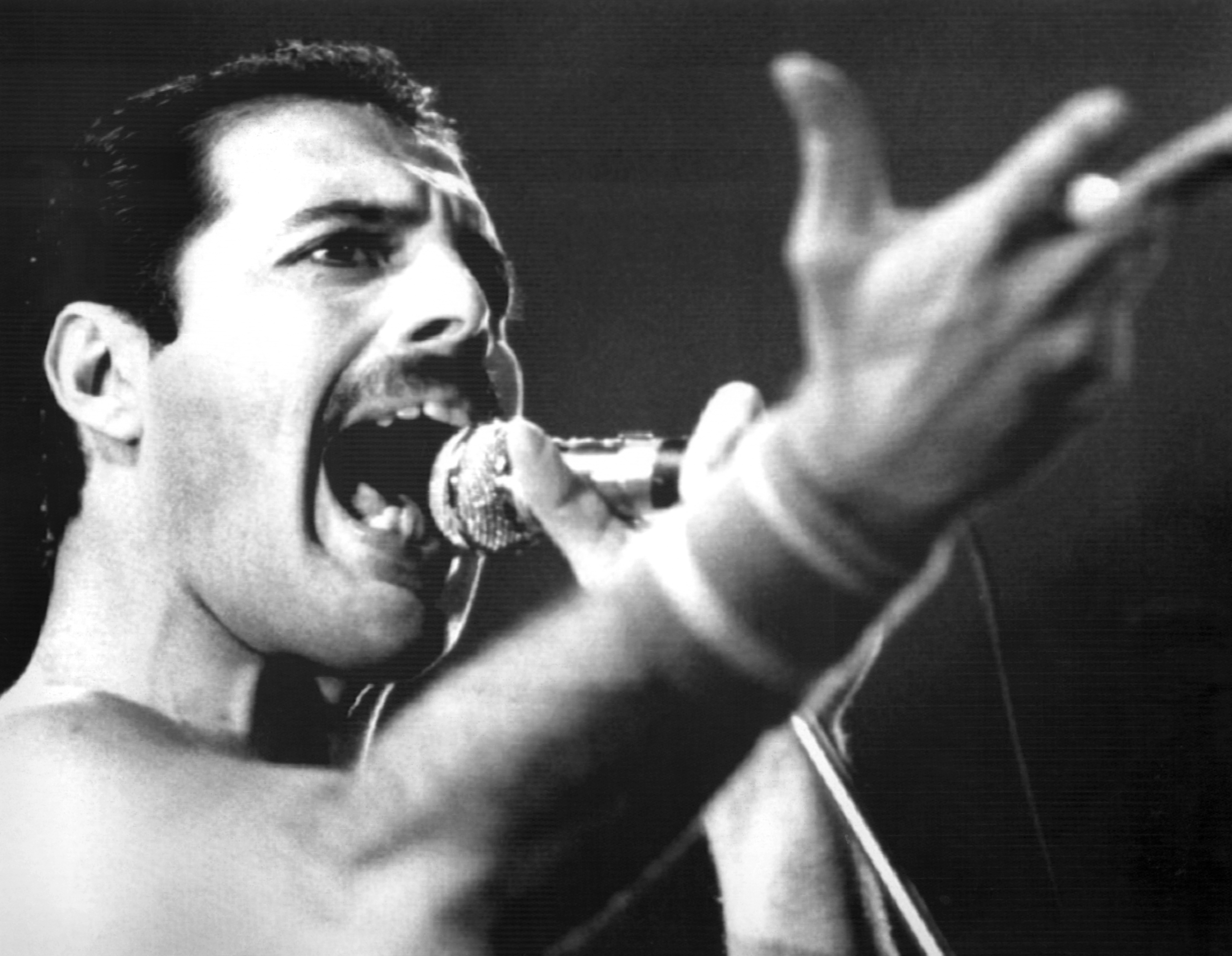 Freddie Mercury, vocalista do Queen, em 1984 (Foto: AP Photos)