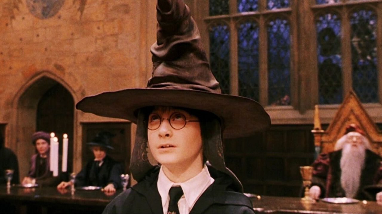 harry potter com chapeu seletor