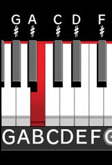 Brain Age 2: More Training in Minutes