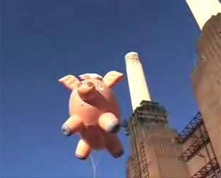 Porco-Aranha foi colocado exatamente sobre a mesma fábrica de Animals, do Pink Floyd