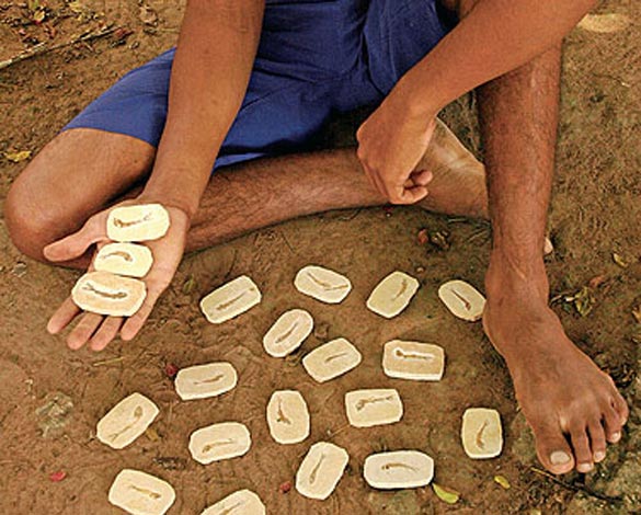 Fósseis de peixes milenares a R$ 0,15 cada, na Chapada do Araripe; veja fotos de outras histórias brasileiras na galeria