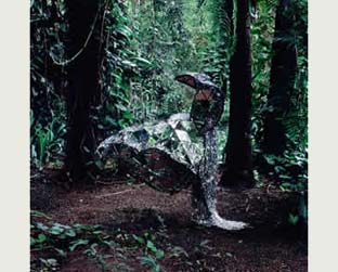 Donkey, 2º disco do CSS, vazou na rede duas semanas antes do lançamento